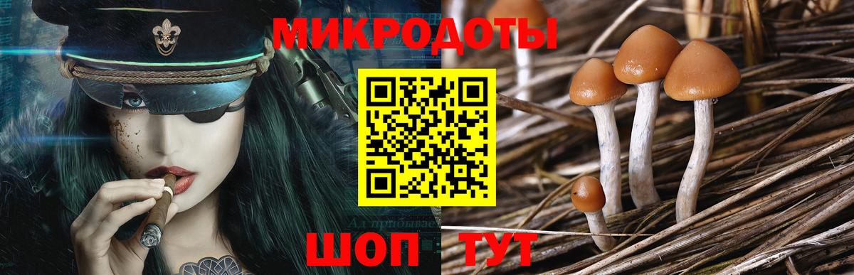 Галлюциногенные грибы прущие грибы  Вход с VPN  Киров  Галлюциногенные грибы мухоморы 